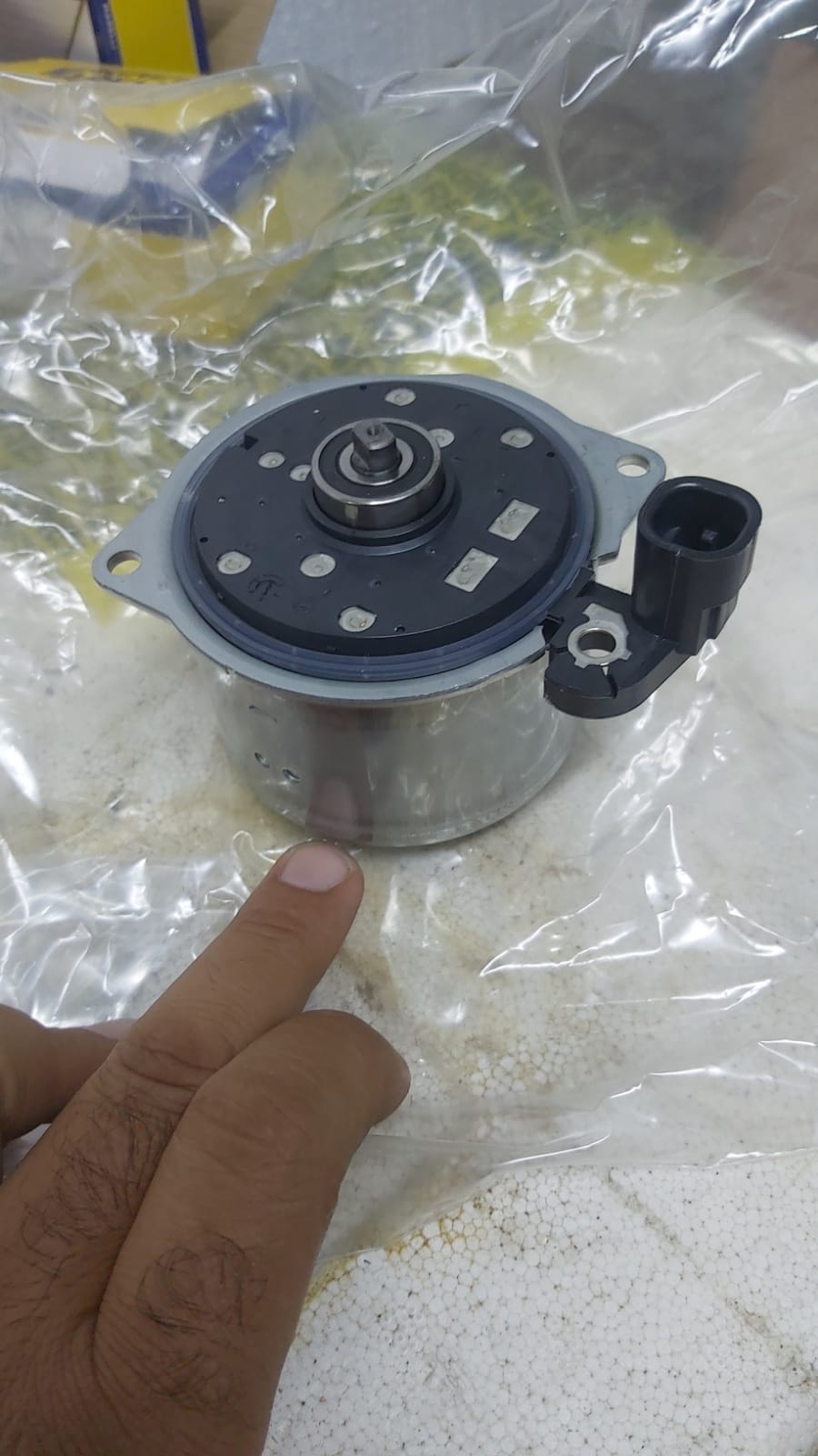 IMG-20230916-WA0005