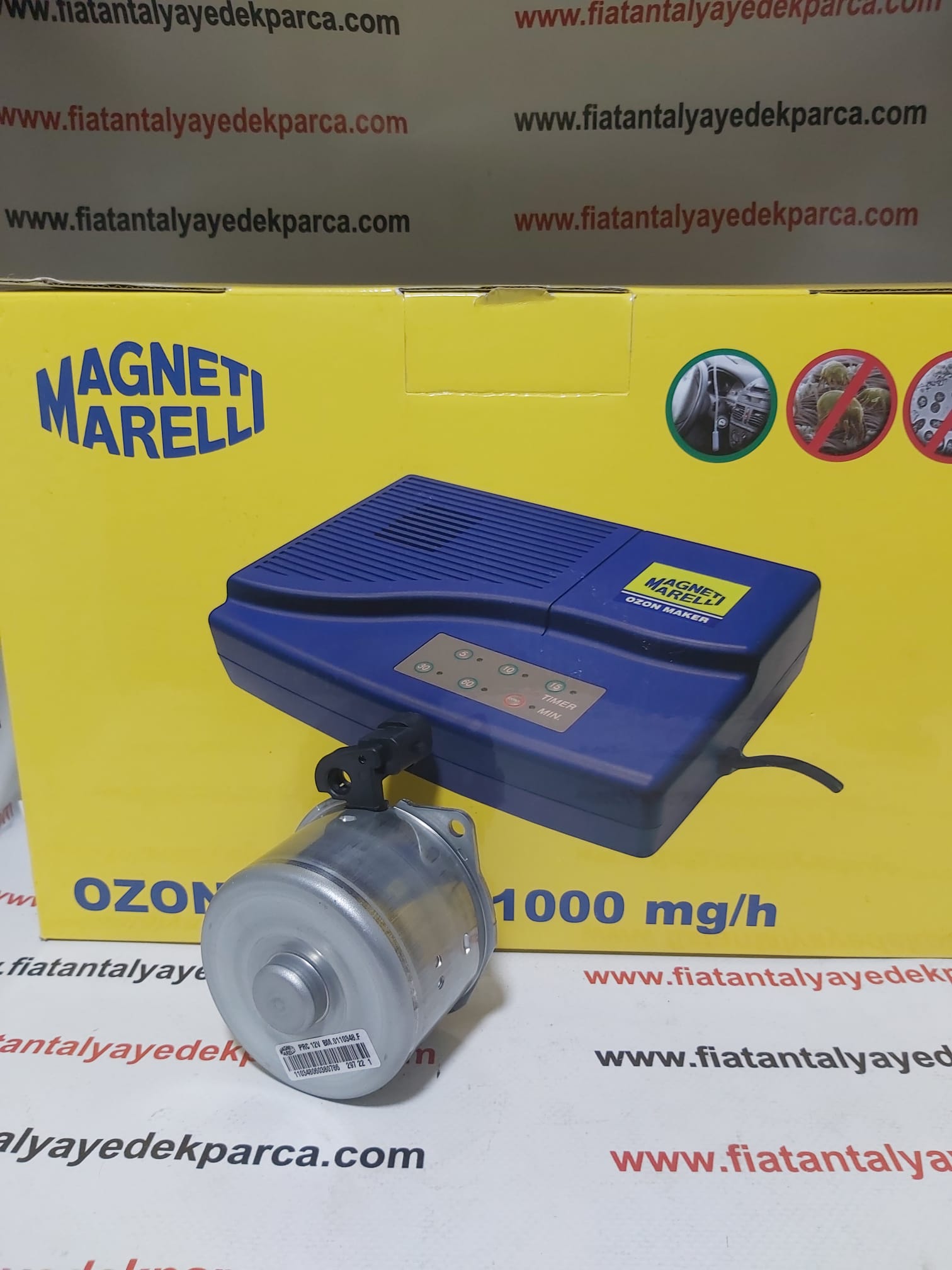 IMG-20240614-WA0016